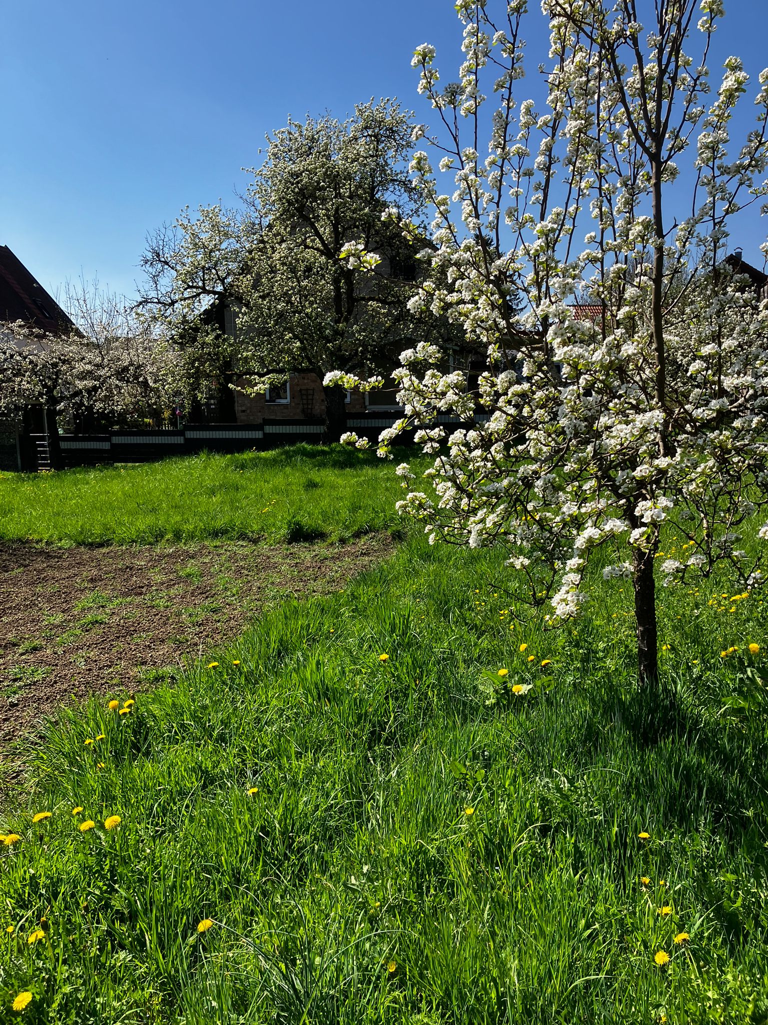 Großzügiges Grundstück in absolut ruhiger Lage sucht seine Familie